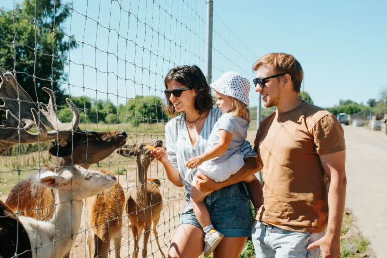 A couple and their baby visiting a wildlife safari/